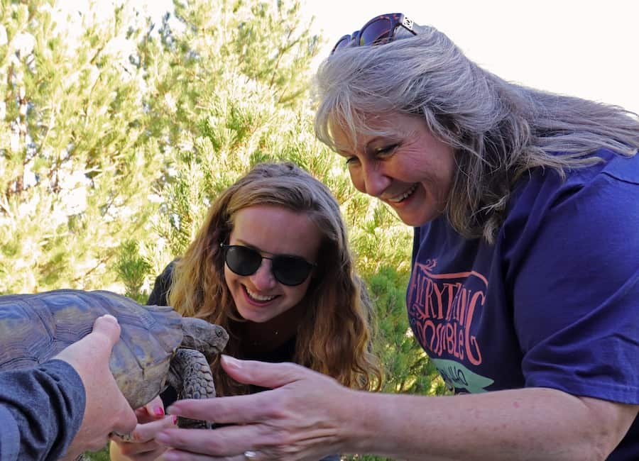 Two women, one younger and on older, greet a tortoise being held up to them.