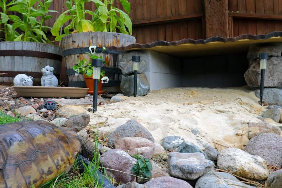 Tortoise in a garden with rocks and sand, facing a tunnel-like opening.