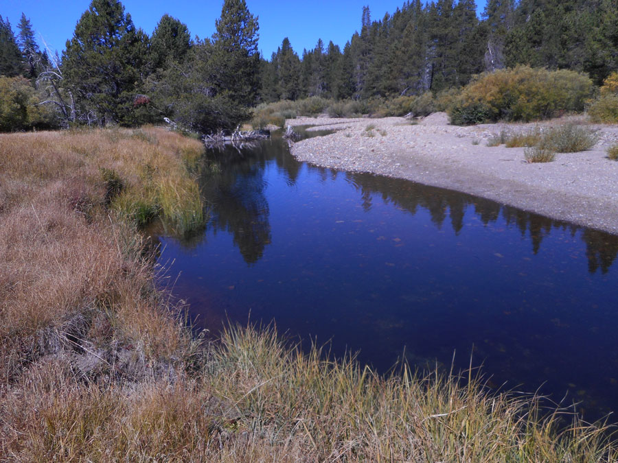 A deep blue pool, with gravel on one side and tall grass on the other.