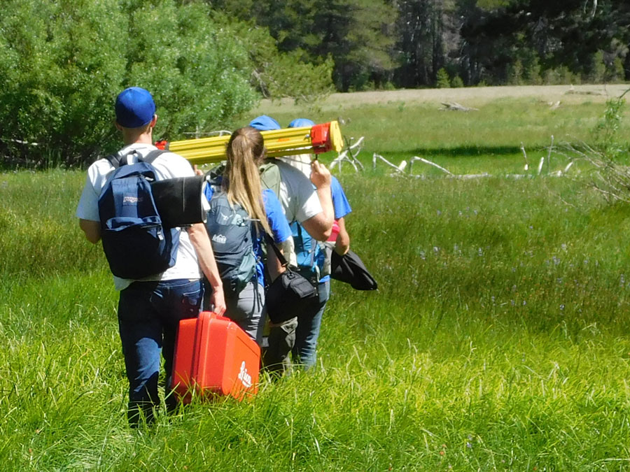 Several people carrying equipment walk single-file through a meadow of tall grass toward trees at the back.