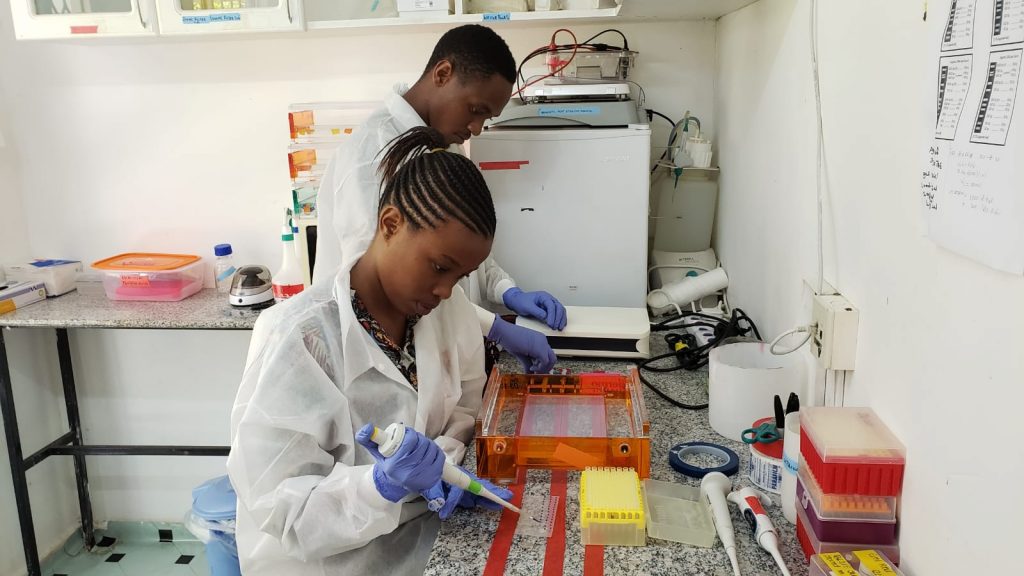 Interns in Tanzania test the DNA of various virus samples.