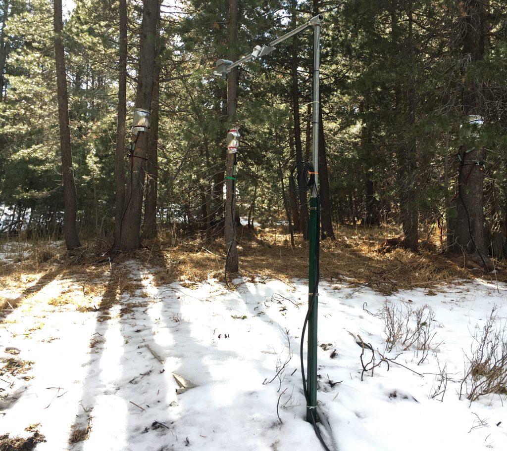 A sensor sticks out of the ground, surrounded by a small dusting of snow.