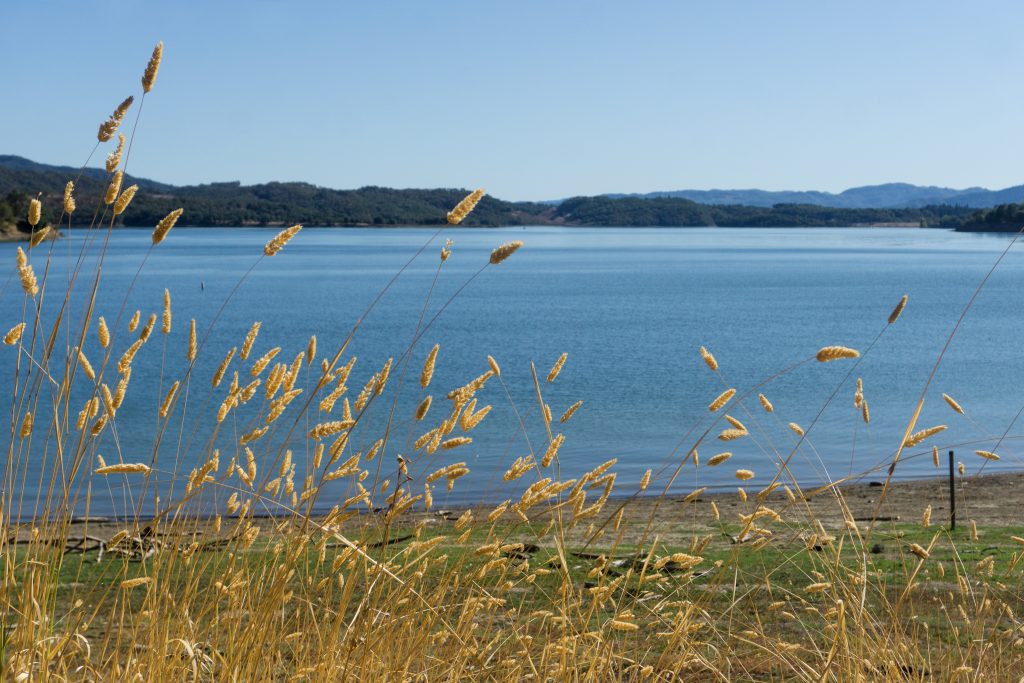 Lake Mendocino, California