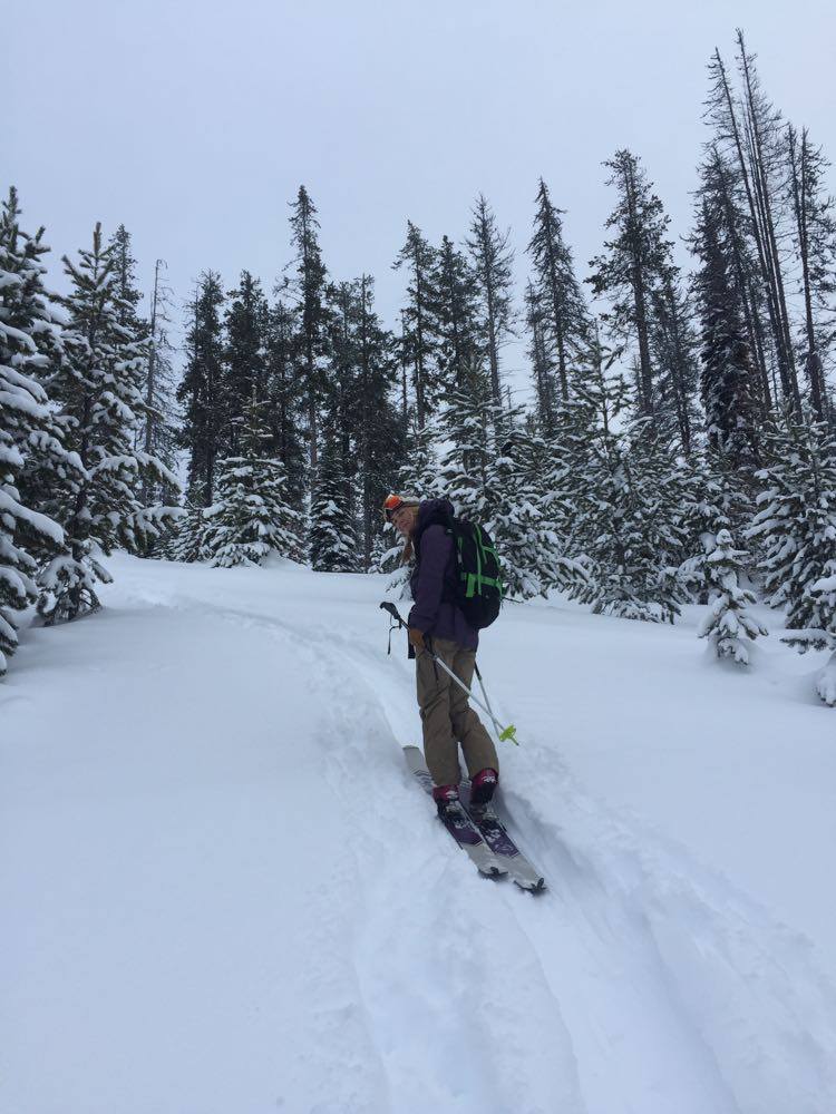 A skier on the skin track, skinning up the mountain