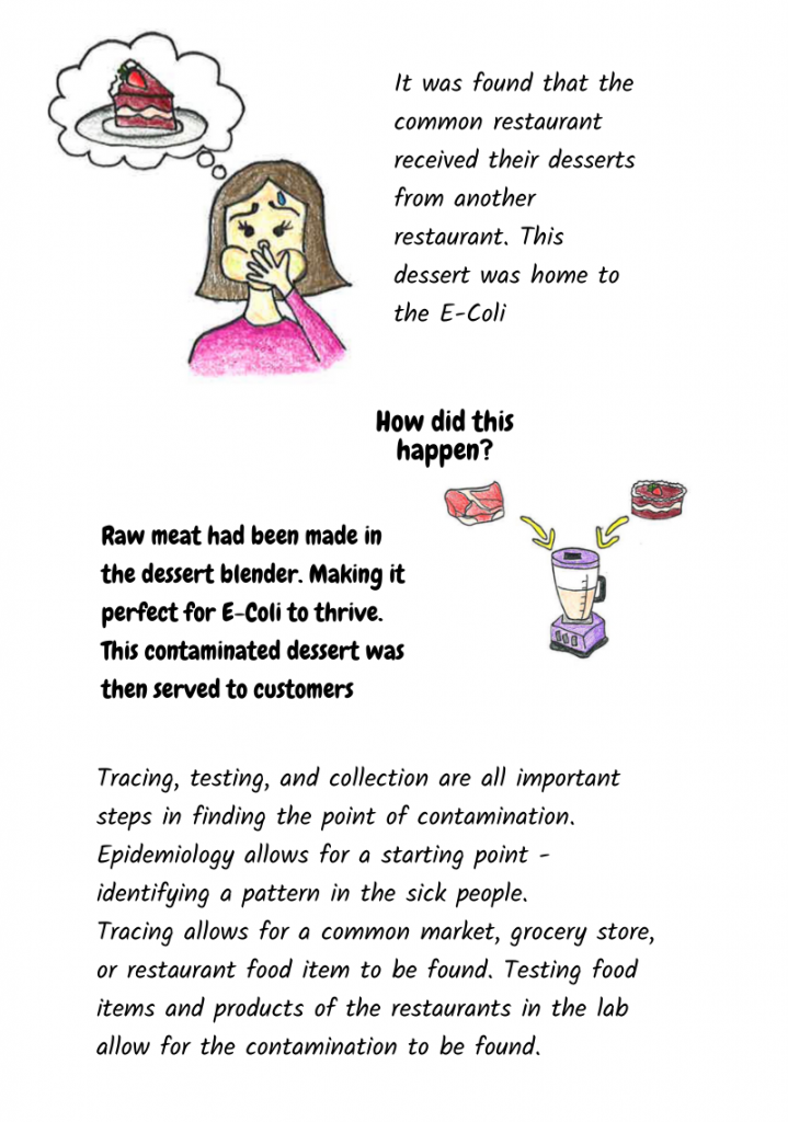 It was found that the common restaurant received their desserts from another restaurant. This dessert was home to the E-Coli. How did this happen? Raw meat had been made in the dessert blender, making it perfect for E-Coli to thrive. This contaminated dessert was then served to customers. Tracing, testing, and collection are all important steps in finding the point of contamination. Epidemiology allows for a starting point - identifying a pattern in the sick people. Tracing allows for a common market, grocery store, or restaurant food item to be found. Testing food items, and products of the restaurants in the lab allow for the contamination to be found.