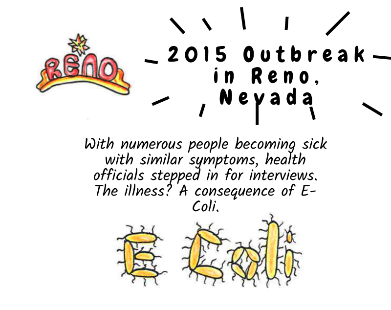 2015 Outbreak in Reno, Nevada. With numerous people becoming sick with similar symptoms, health officials stepped in for interviews. The illness? A consequence of E-Coli.