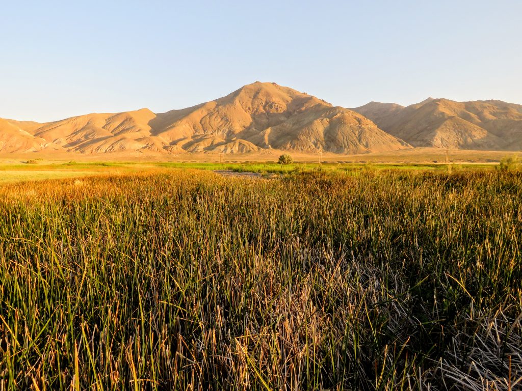 A landscape view of the Dixie Valley. Mountains in the background and grassland in the foreground.