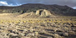 A landscape photo of a Nevada desert