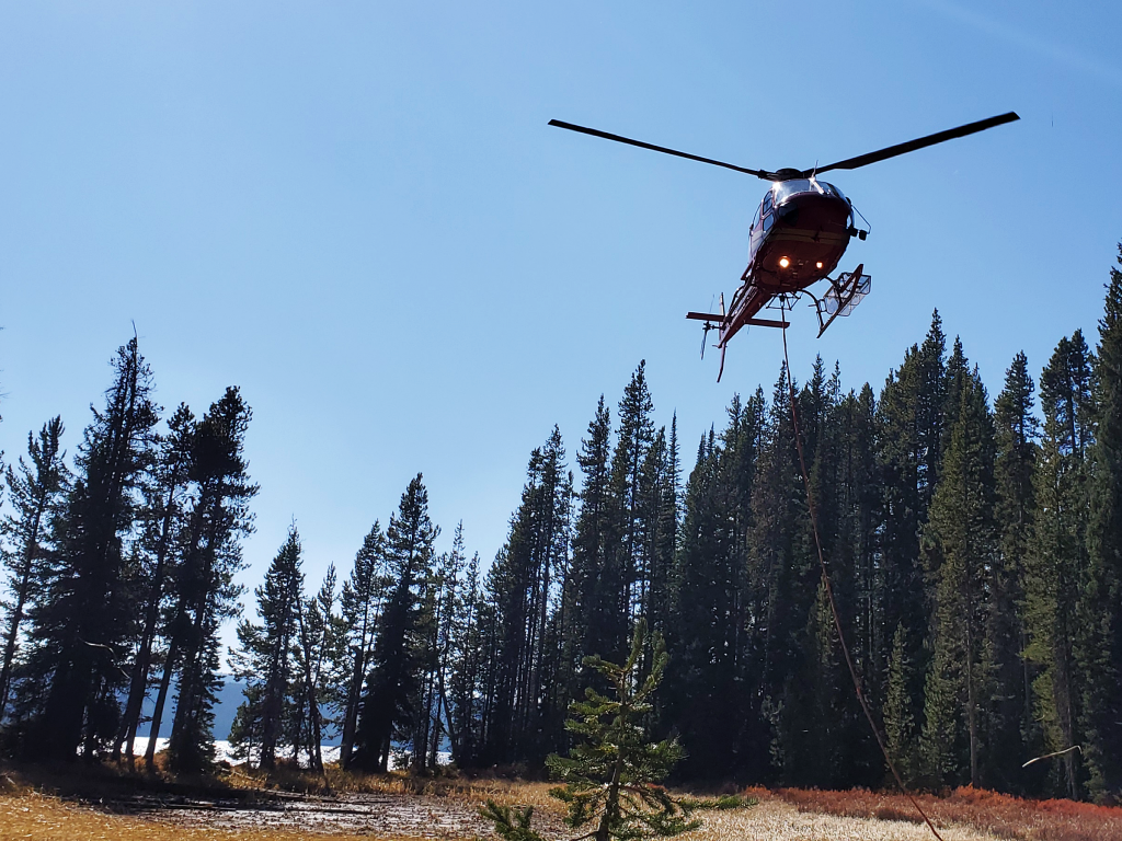 A helicopter hovers above some pine trees next to a lake