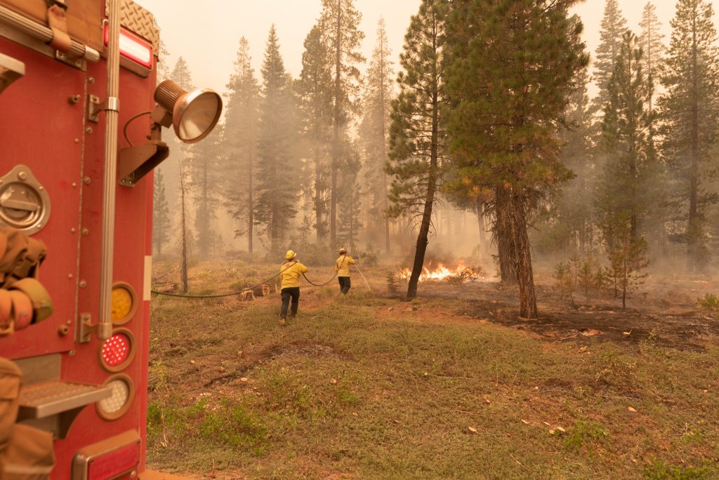 Two firefighters carry a hose from a red firetruck towards a flame in the forest.