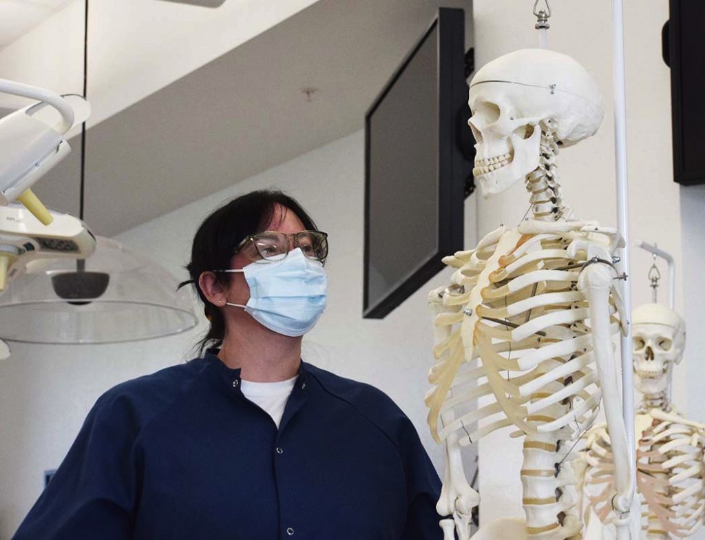 Lab manager Lindsay Pisani looks up at a hanging anatomical model of a human skeleton in the gross anatomy lab.