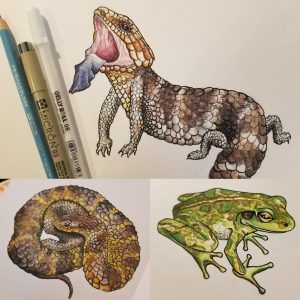 Two pens and a pencil are in the top left corner of the photo. The top right of the photo has a scaly brown lizard sticking its tongue out. A brown and yellow striped scaly snake is coiled in the bottom left of the photo, and a green frog with brown circles on its skin and a yellow eye is in the bottom right of the photo.