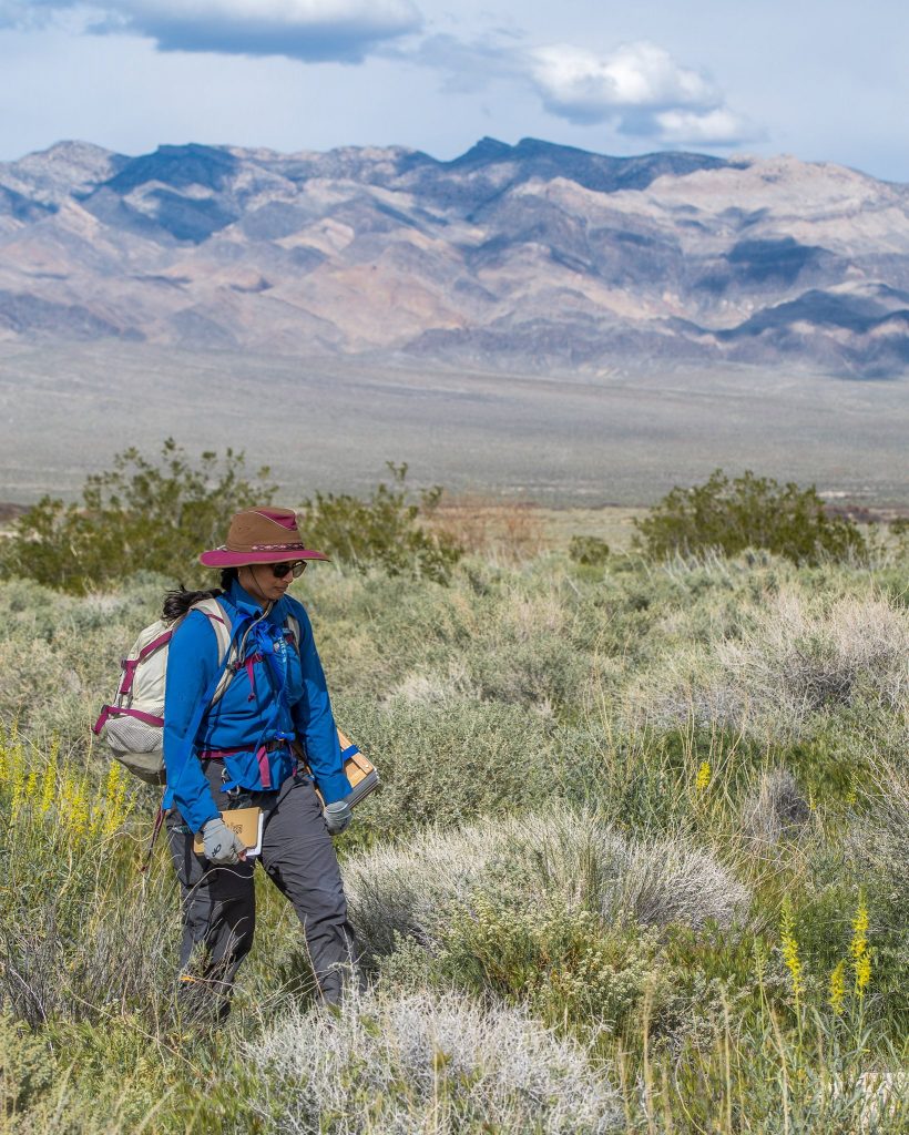 Tiffany Pereira walks through tall grass and vegetation with a field notebook in her hand. There are mountains in the distance.