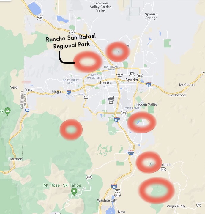 A map of Washoe County with a smattering of six red circles indicating the places andesite buckwheat are known to grow. The first circle is located in northwest Reno in Rancho San Rafael Regional Park. The second is just across the highway from the first, in northeast Reno. The third circle is in an unincorporated part of the city, due southwest of Reno. The fourth is below Hidden Valley in southeast Reno. The fifth is just below the fourth, and the sixth is just below the fifth in the Virginia City area.