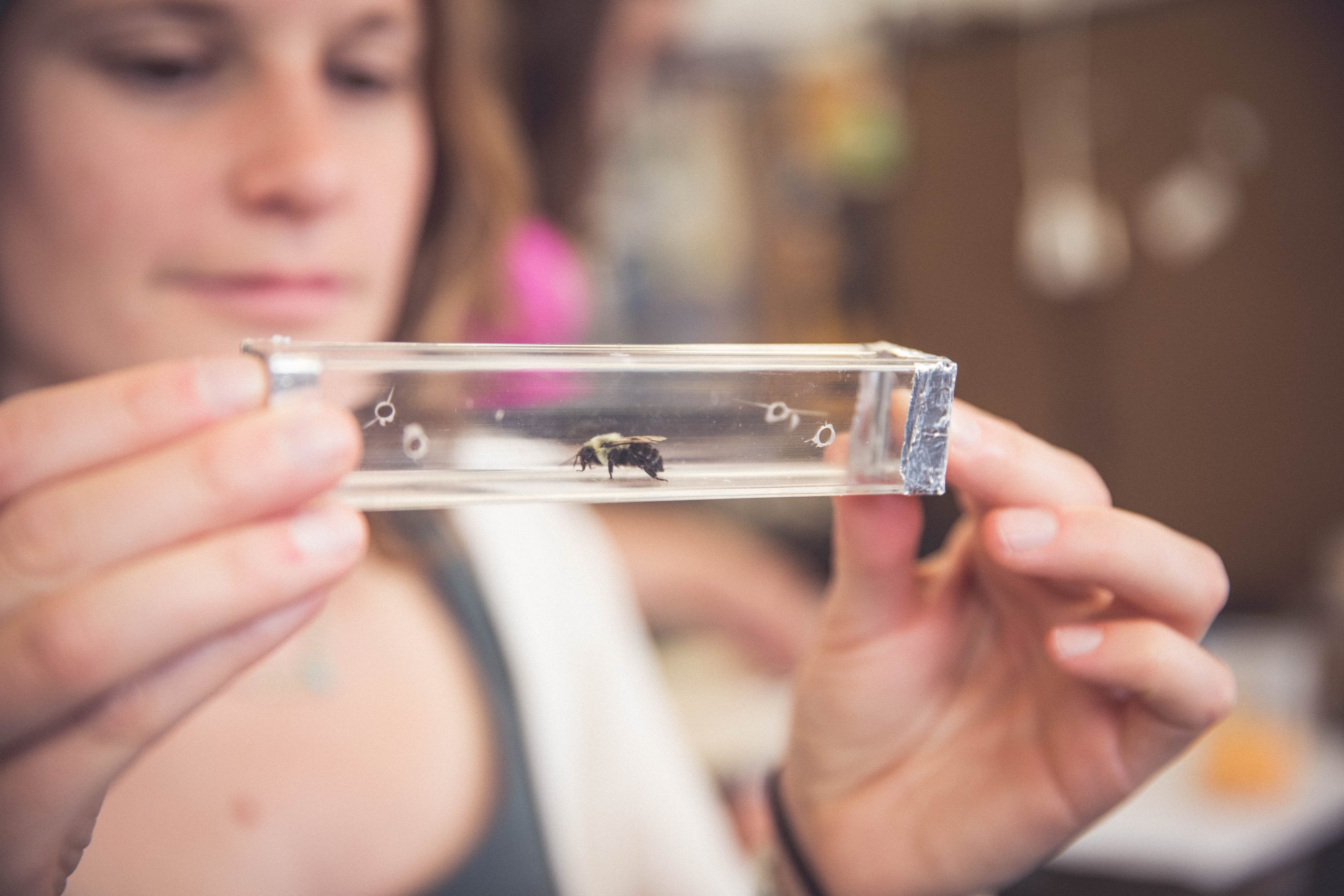 Felicity Muth holds up a a glass cylinder with a solitary bee inside.