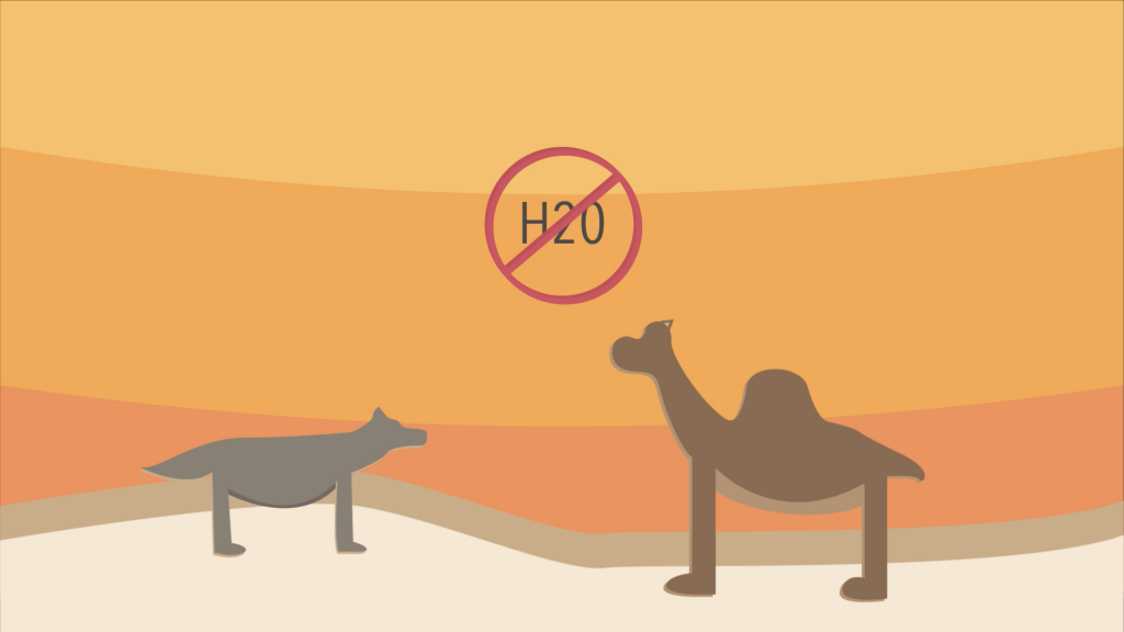 An animated coyote (left) and a camel (right) face each other on rolling sand dunes. Hovering above their heads is the word "H20," which is crossed out.