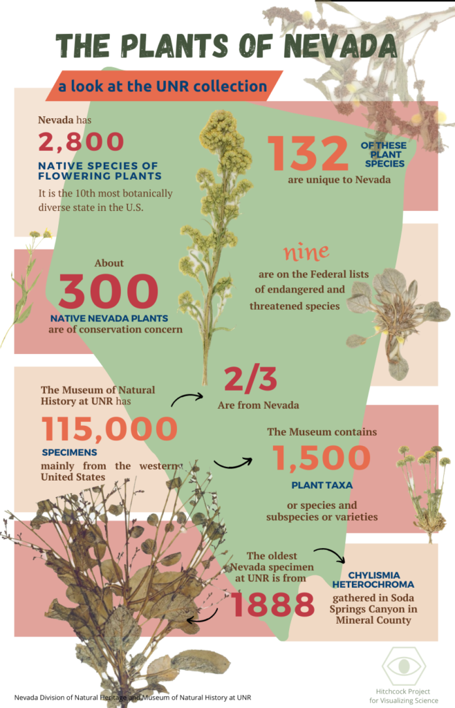 Infographic of facts about plants of Nevada
