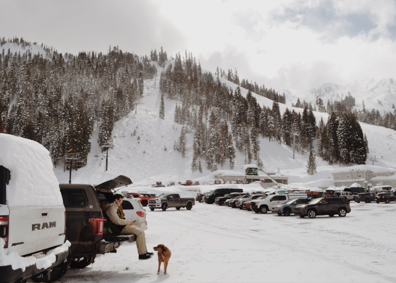 View of a ski run from the parkinglot at Palisades Tahoe. In the foreground, man sits on back of truck near dog.