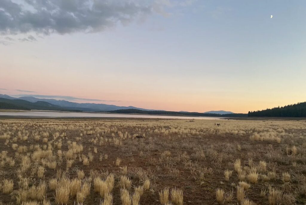 Sierra Nevada meadow at sunset