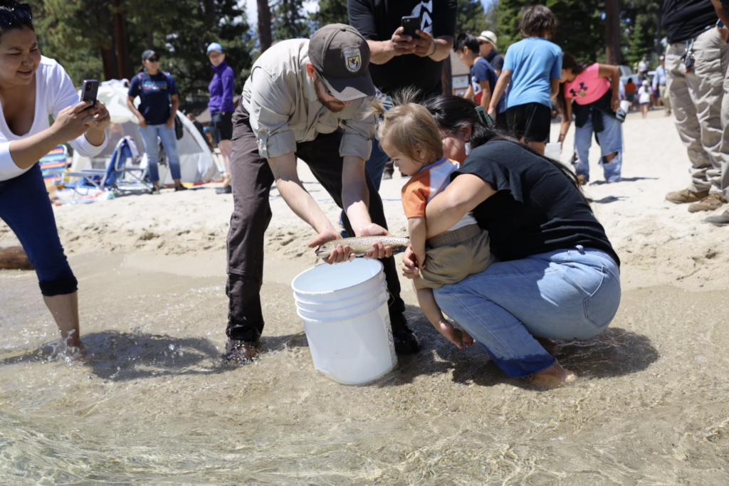 two adults and one child stand in shallow water of Lake Tahoe and look at fish in white bucket