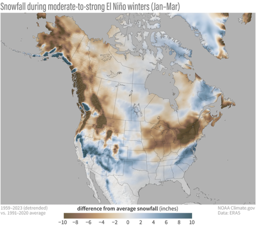 A graphic titled "snowfall during moderate-to-strong El Nino winters (January-March). The graphic displays a map of the United States, and a color scale indicates that northern states (not including Nevada) tend to experience less snowfall than usual, during El Nino winters. According to the graphic, the tip of northern Nevada could experience slightly less snowfall, but most of the state is likely to experience anywhere from 2-10 more inches than the average.