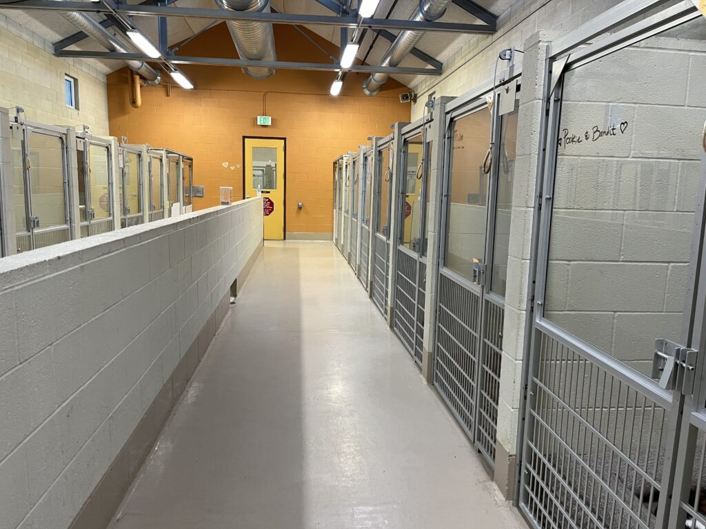 Hallway of SPCA with animal cages along the sides.