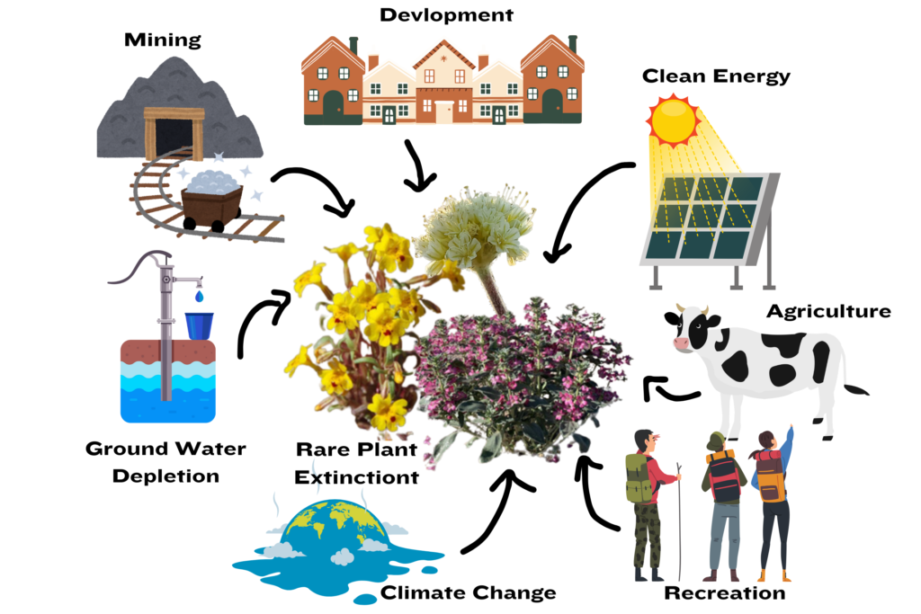 Graphic showing threats to rare plants: mining, development, clean energy, agriculture, recreation, climate change, ground water depletion.