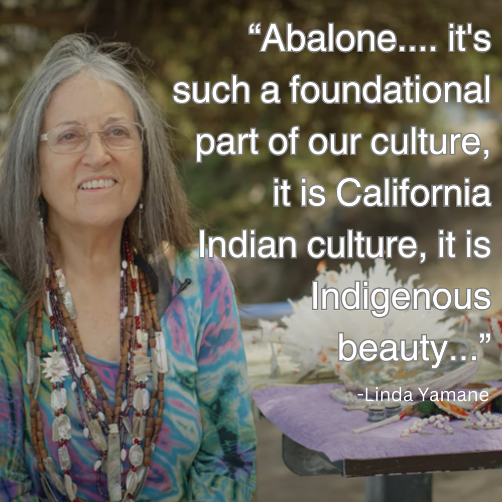 quote from Linda Yamane says "Abalone...it's such a foundational part of our culture, it is California Indian culture, it is Indigenous beauty..."