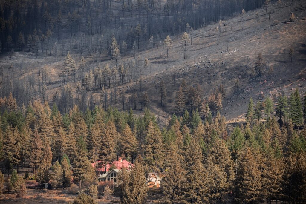 An unburned house in a burned forest