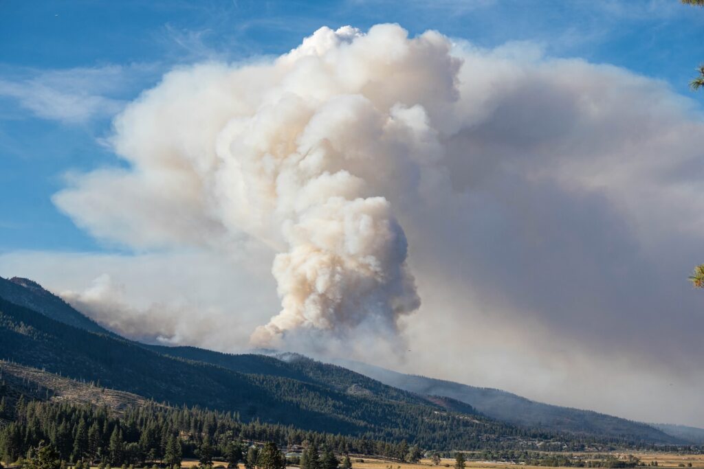 Smoke plume from the Davis Creek fire rises above tree-covered mountain