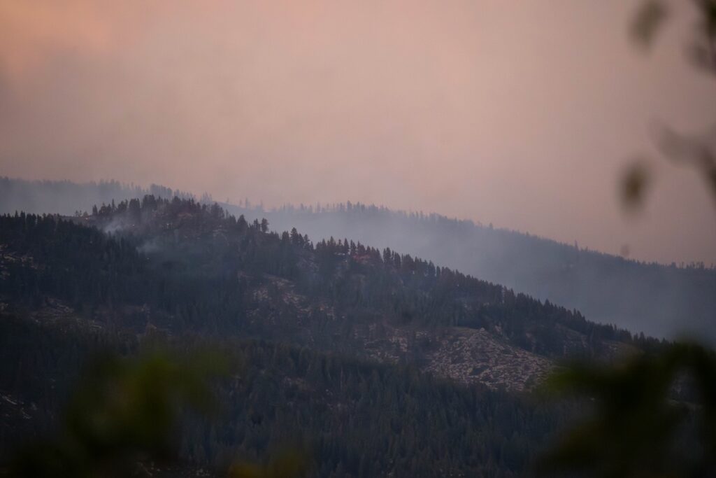 Smoldering flames at twilight