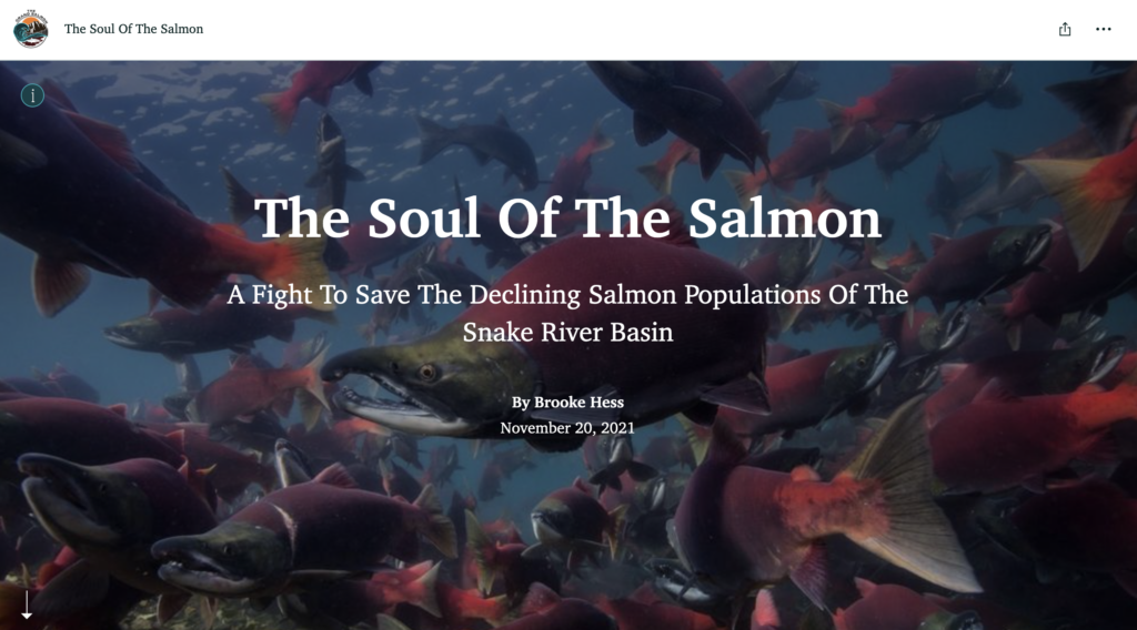 screenshot of The Soul of The Salmon storymap website