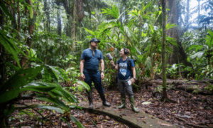 A reporter interviews a researcher in the jungle in Costa Rica