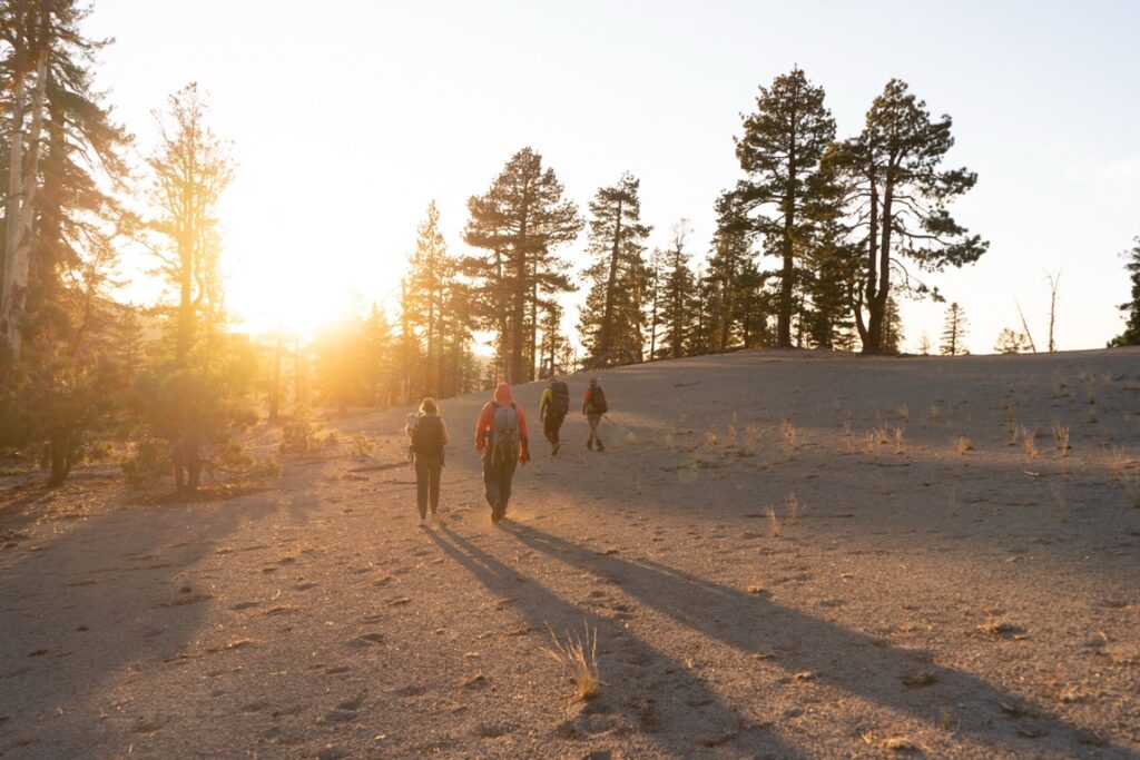 In the golden evening light, the research team hikes back toward camp.