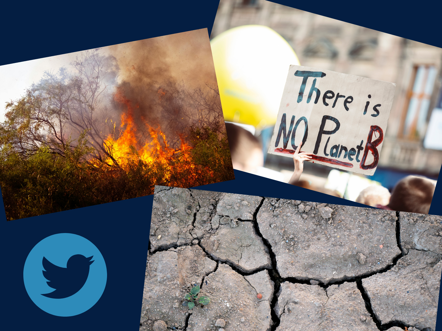 Collage featuring Twitter logo, cracks in the soil, a wildfire, and a person holding a sign that reads "There is no planet B"