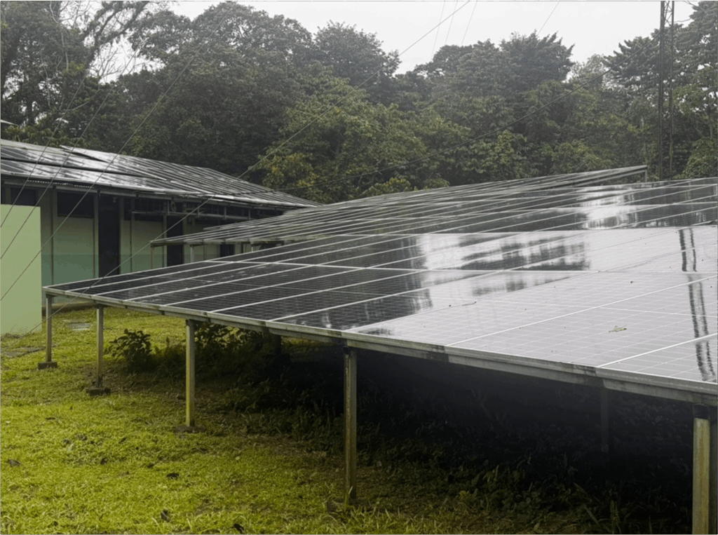 Solar panels with trees in the background