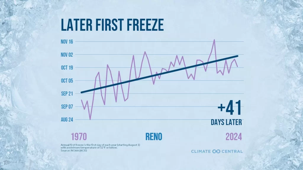 A line graph showing how much later Reno's first freeze is occurring in dark blue text against a light blue ice background.