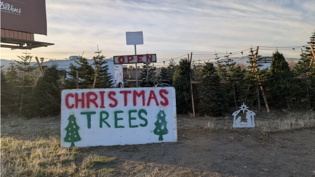 Christmas trees for sale in Reno