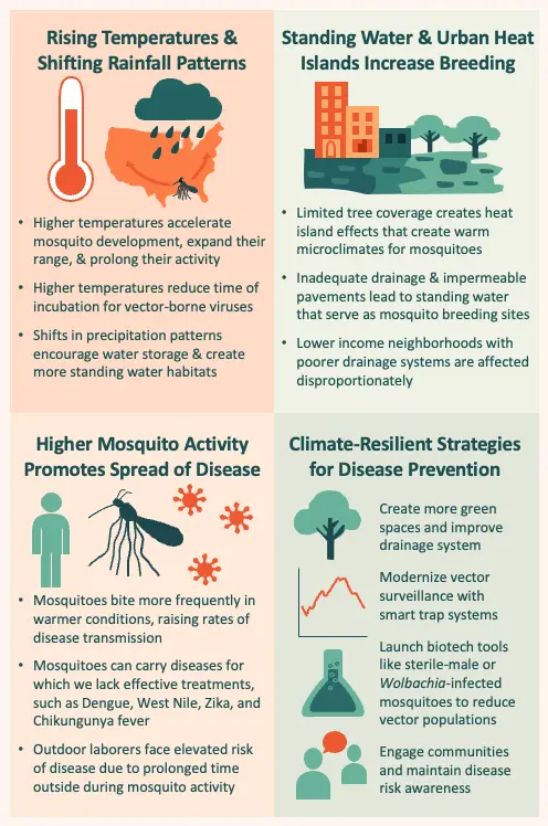 Infographic showing effects of environmental change on mosquito-borne disease