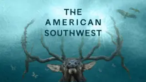 the american southwest deer with head underwater