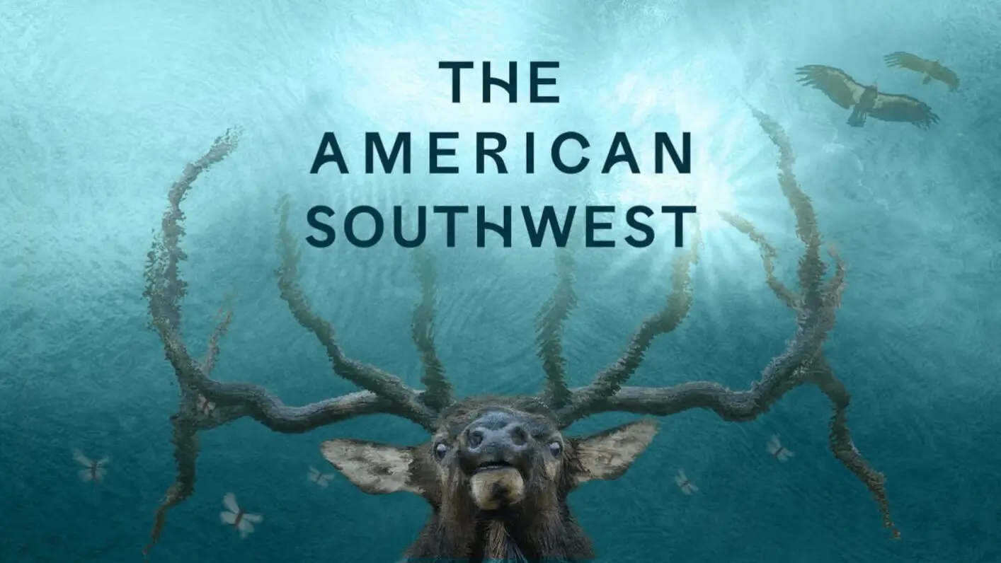 the american southwest deer with head underwater