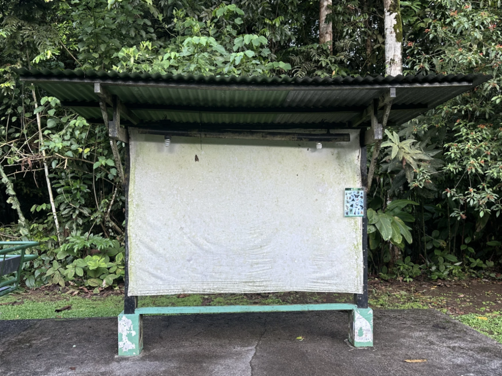 A light sheet in La Selva Research Station in Sarapiqui, Costa Rica used to be full of nocturnal species such as beetles and moths at night. However, it has become rare to spot a few insects crawling on the sheet recently.