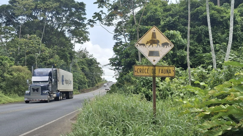 Highway in Puerto Viejo de Sarapiquí, Costa Rica with wildlife crossing sign.