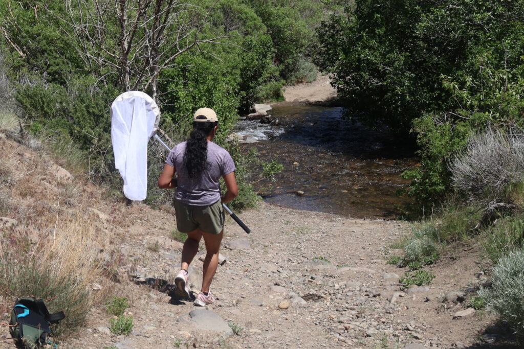 Victoria Peechatt carries butterfly net along Hunter Creek trail