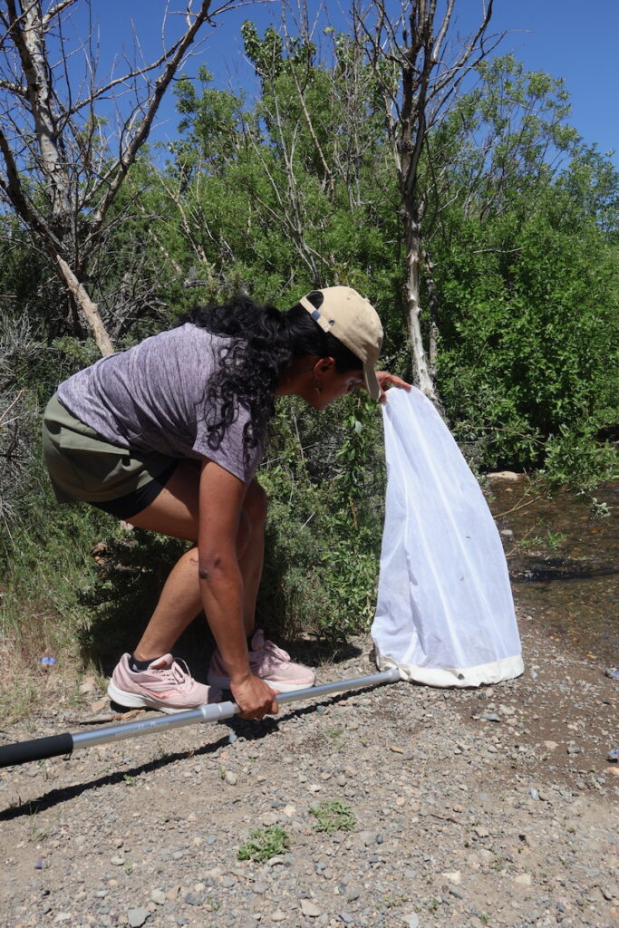 Peechatt successfully captures the butterfly with her net. She ensures it flies towards the top so it
does not immediately fly out when she flips it over. 