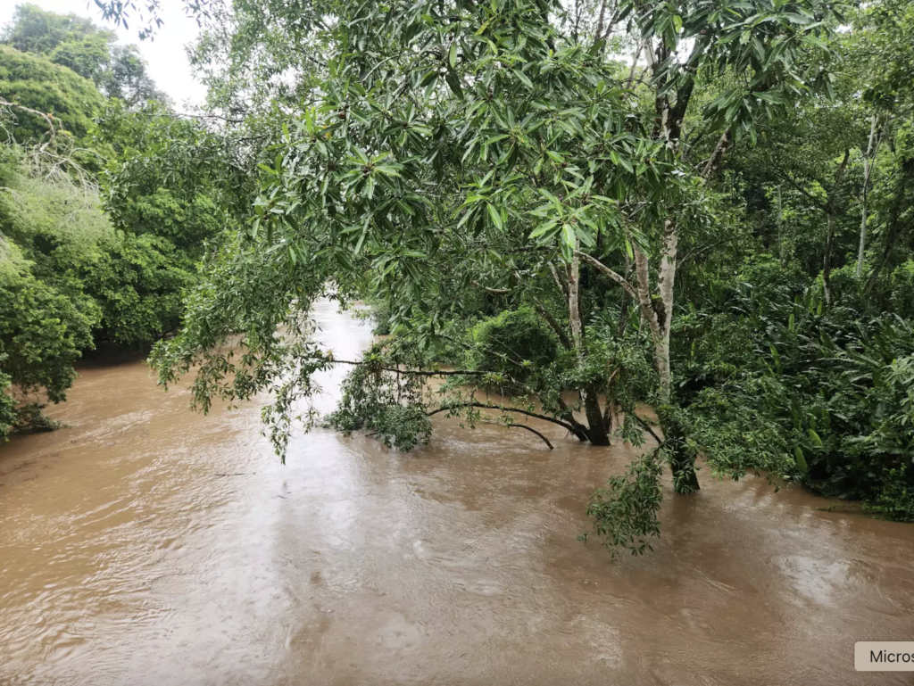 The Puerto Viejo River rose to above-average levels due to a couple of days of heavy rainfall.