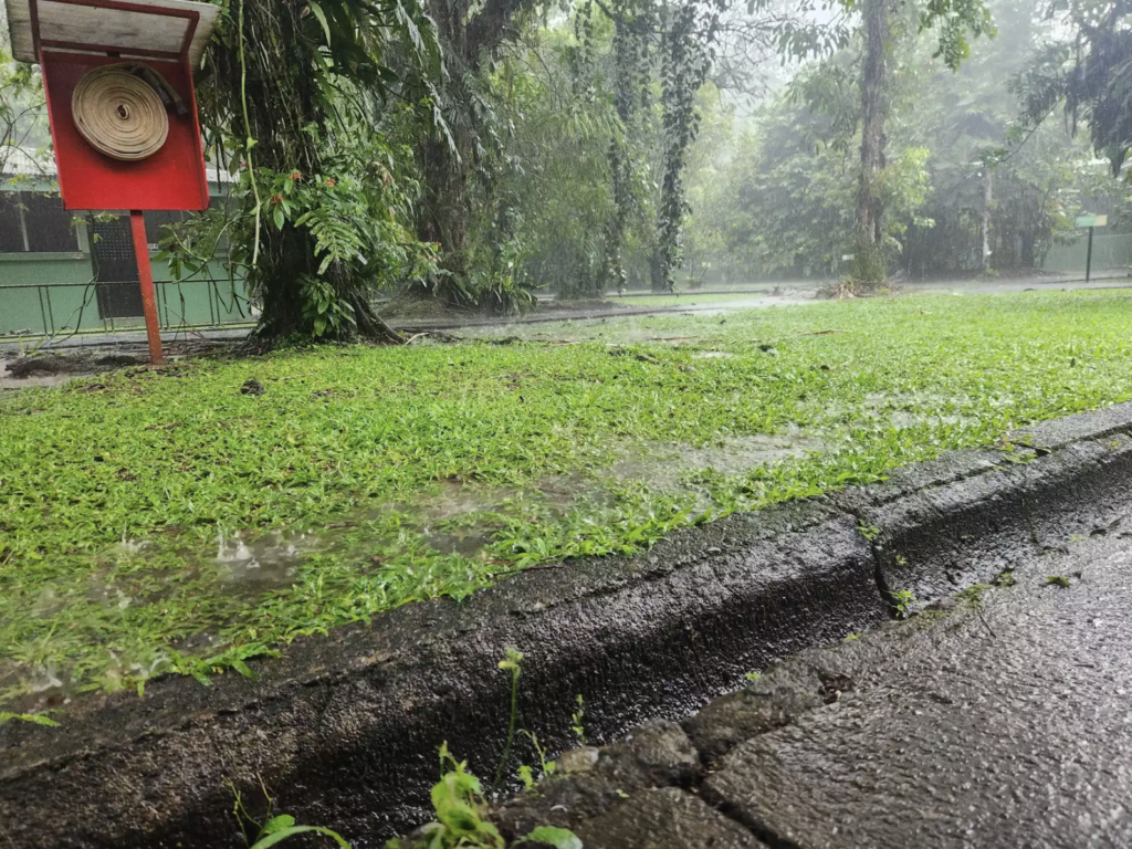 Water at La Selva research station begins to accumulate during a heavy downpour.