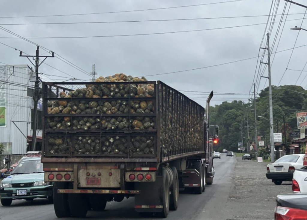 A truck full of pineapple in Costa Rica