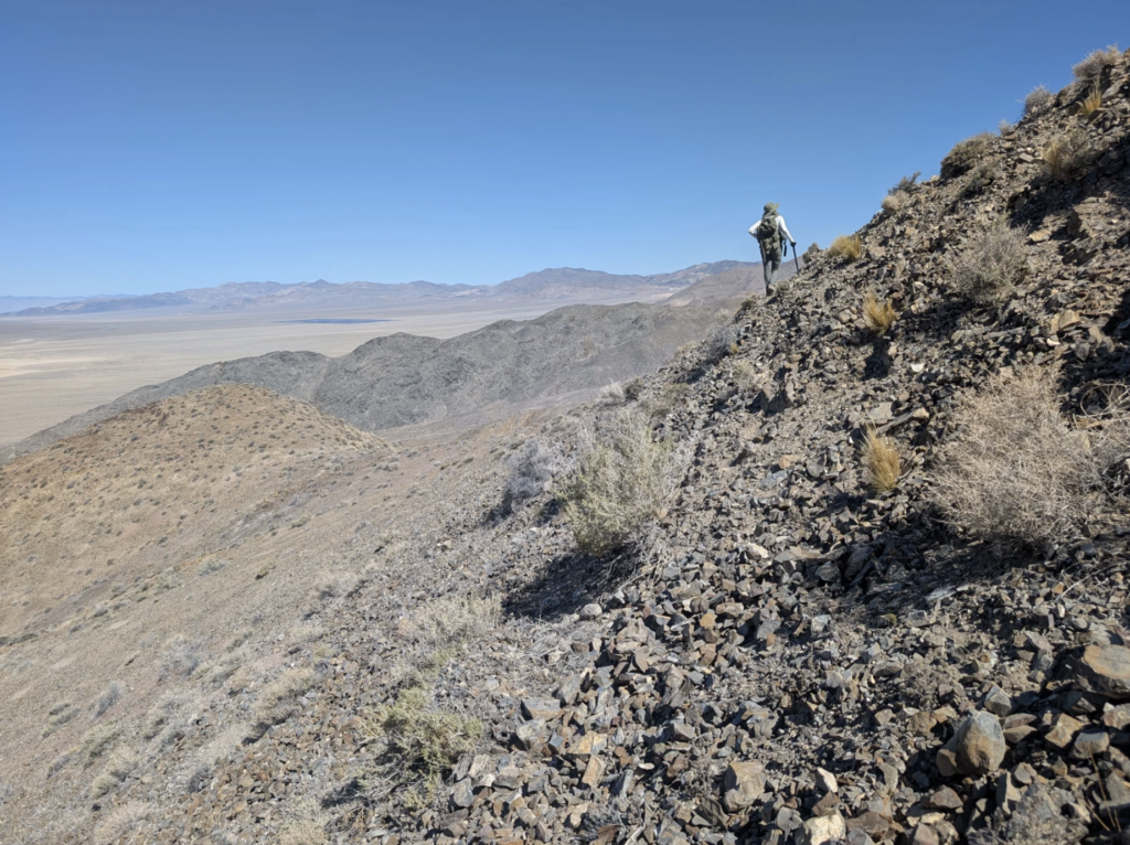 Hilary Loupee often ventures out to Luning, Nevada to search for fossils.