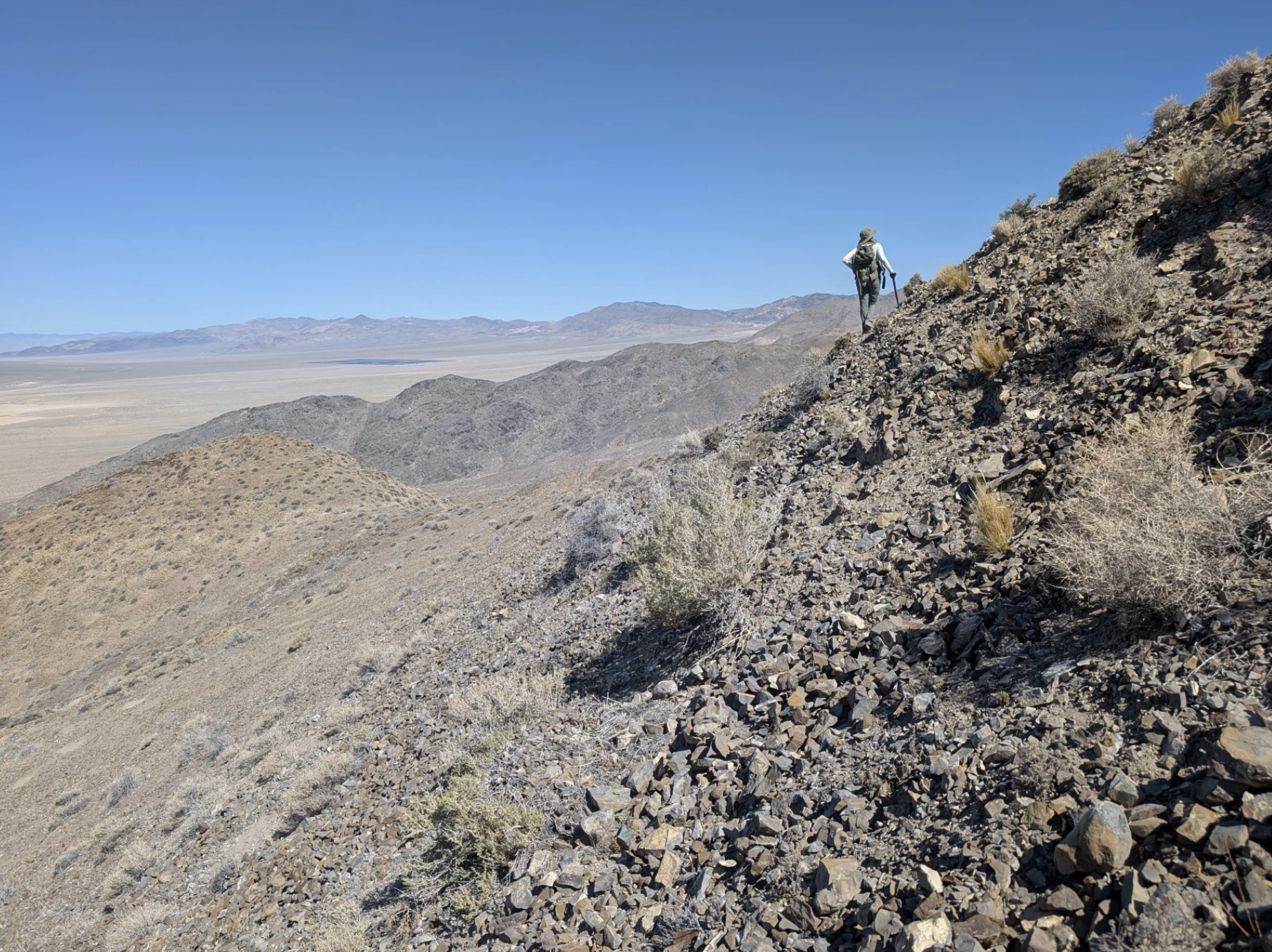 Hilary Loupee often ventures out to Luning, Nevada to search for fossils.